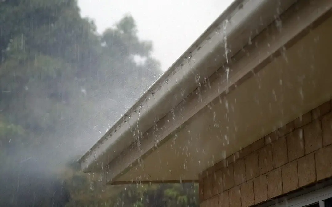 clean your gutters