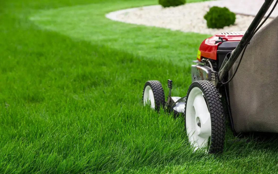 5 Easy Landscaping Tips for Texas Homeowners