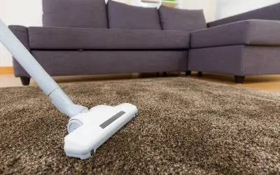 Don’t Let Them Take Over: How to Handle a Flea Infestation at Home