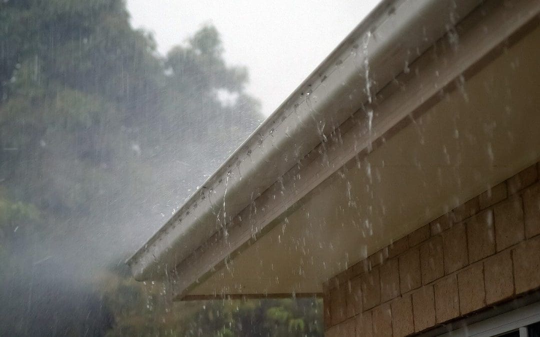 The Essential Guide on How to Clean Your Gutters